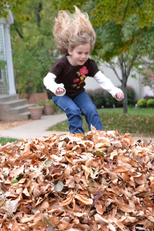 Flying into the leaves